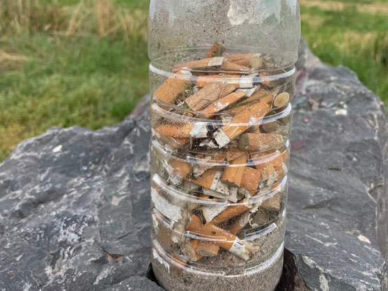 Gesammelte Zigarettenkippen in Ober-Olm