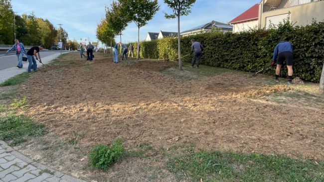 Die Fläche an der Bushaltestelle "Am Beinestein" wird zu einer Wildblüh-Wiese umgestaltet