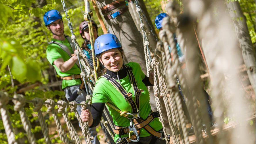 Gruppe beim kletten zwischen Seilen und Bäumen